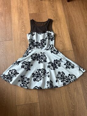 Trixxi Floral Fit-and-Flare Dress with Sheer Mesh Front
